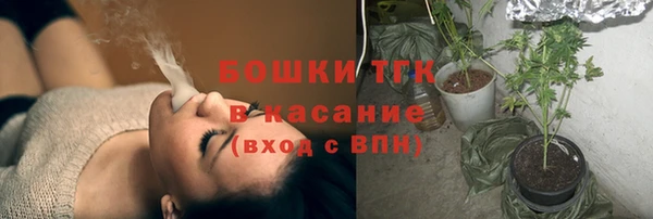 сатива Алексеевка