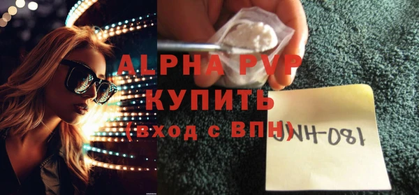 молекула духа Осташков