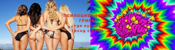 сатива Алексеевка